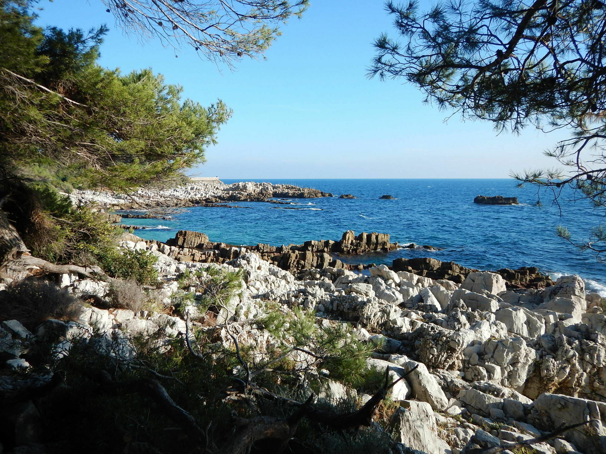 Hotel Miramar- Cap D'Antibes - La Garoupe Plage Bagian luar foto